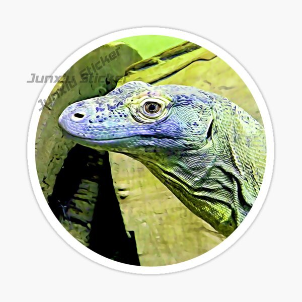 Komodo National Park Komodo Is - Car Accessories Bali 评论和价格